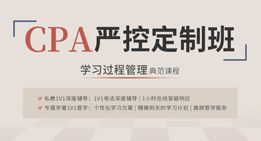 2024考季CPA严控定制班【任选一科】