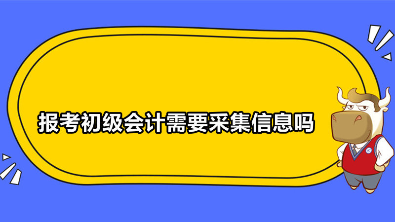 报考初级会计需要采集信息吗