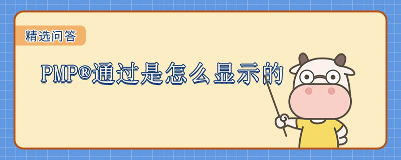 PMP通过是怎么显示的
