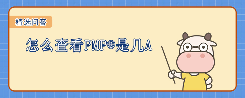 怎么查看PMP是几A