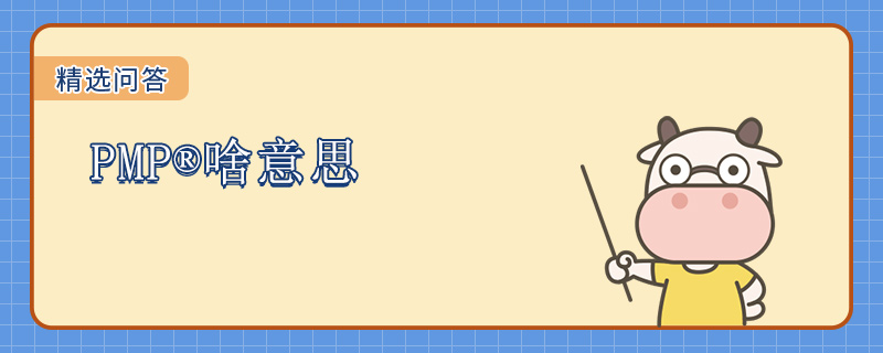 PMP啥意思