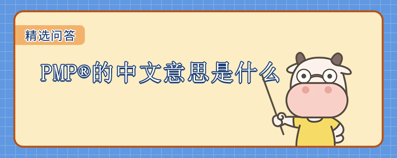 PMP的中文意思是什么