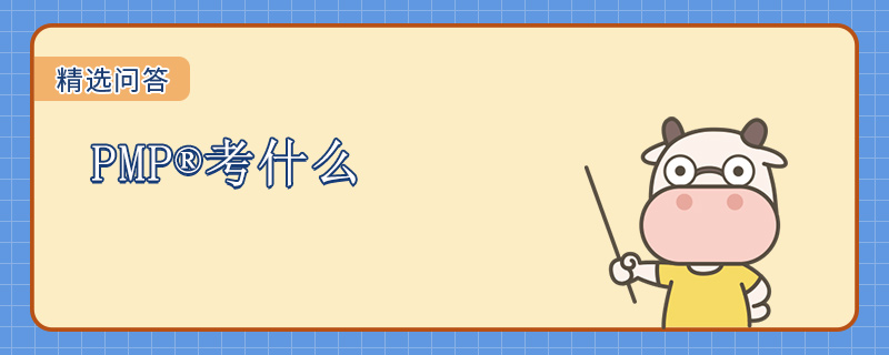 PMP考什么
