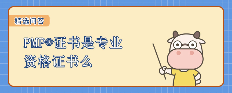 PMP证书是专业资格证书么