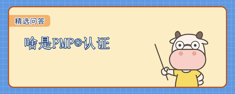 啥是PMP认证