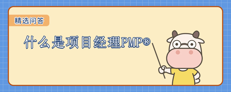 什么是项目经理PMP
