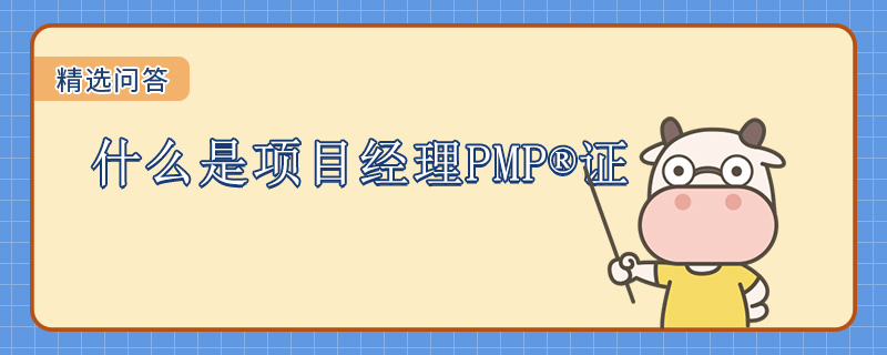 什么是项目经理PMP证