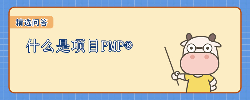 什么是项目PMP