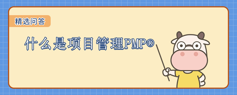 什么是项目管理PMP
