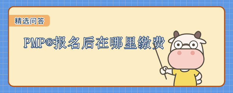PMP报名后在哪里缴费