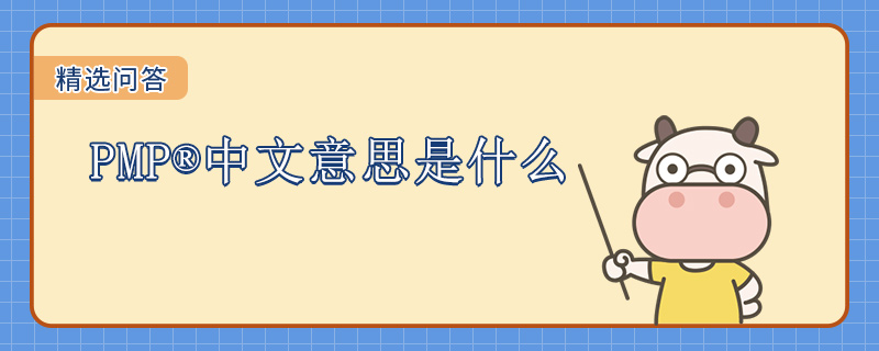 PMP中文意思是什么