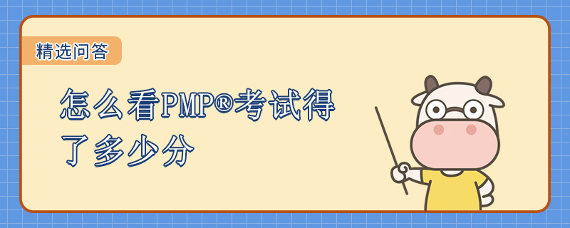 怎么看PMP考试得了多少分