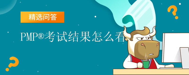 PMP考试结果怎么看